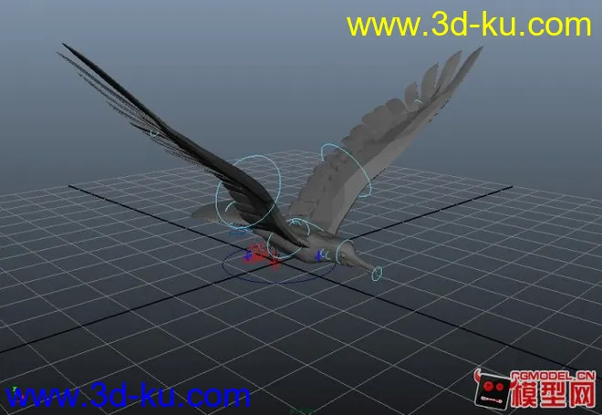 maya鸟模型下载有骨骼绑定+循环动画的图片1