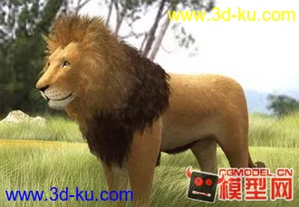 狮子模型的图片