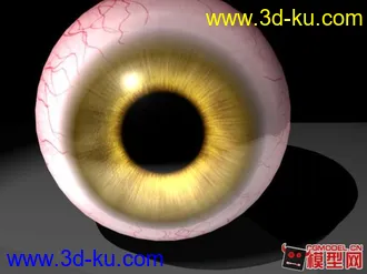 眼睛 模型 下载的图片