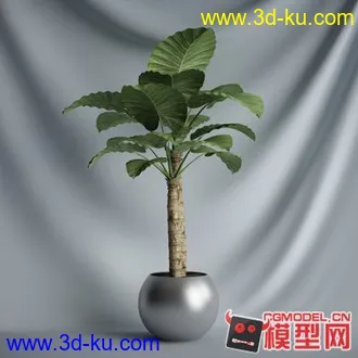 3D打印模型盆景————————————的图片