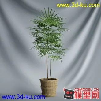 3D打印模型盆景————————————的图片