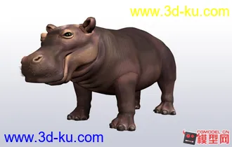 河马模型的图片