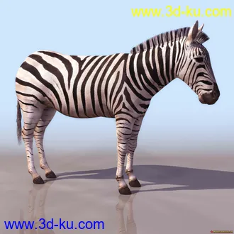 分享一个斑马得模型的图片