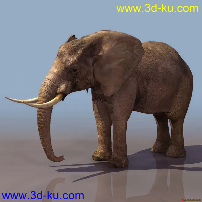 再分享几只动物-大象模型的图片1