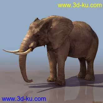 3D打印模型再分享几只动物-大象的图片