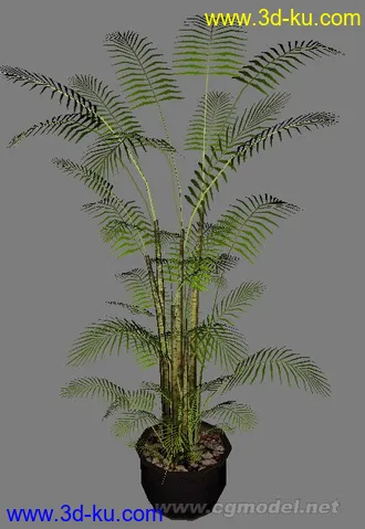 3D打印模型一个低模室内植物，效果不错的的图片