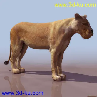 3D打印模型分享一只狮子的图片