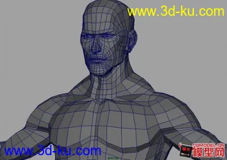 第一次发模型的图片