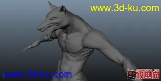 3D打印模型狼头人身~无衣服的图片