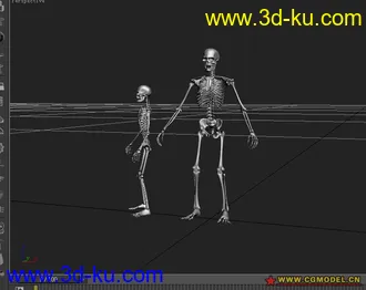3D打印模型骷髅的图片