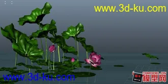 3D打印模型荷花塘 荷花 水面材质的图片