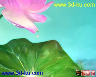 3D打印模型荷花塘 荷花 水面材质的图片