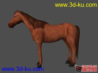 3D打印模型小马的图片