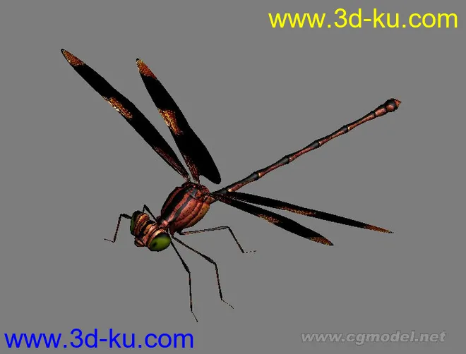 一只大蜻蜓，带cs 骨架绑定模型的图片1