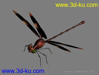 3D打印模型一只大蜻蜓，带cs 骨架绑定的图片