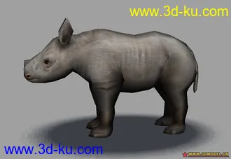3D打印模型给小日本做的。小犀牛，，，的图片