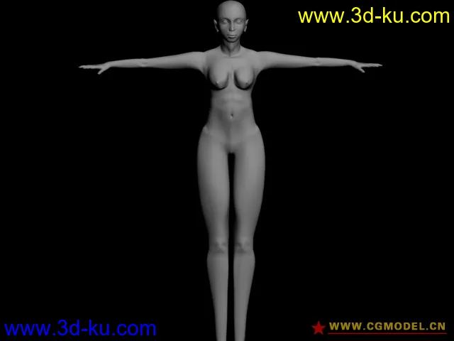 分享一下女人人体模型的图片1