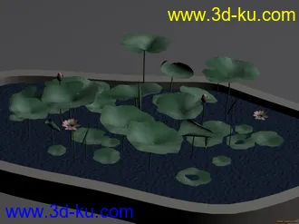 3D打印模型荷花荷叶的图片