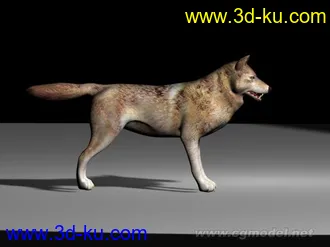 3D打印模型野狼的图片