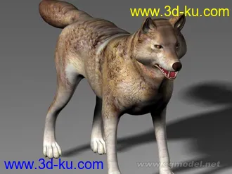 3D打印模型野狼的图片