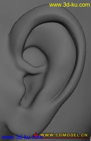 一只耳朵模型的图片1