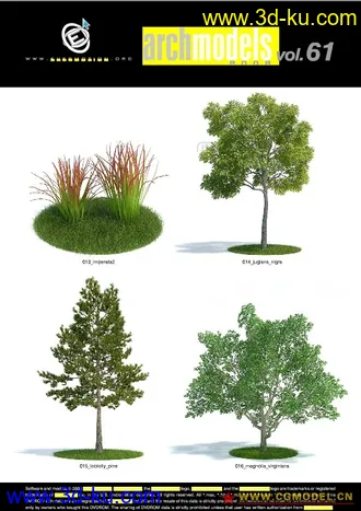 Evermotion Archmodels vol. 61树木模型下载种子的图片