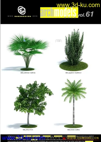 Evermotion Archmodels vol. 61树木模型下载种子的图片
