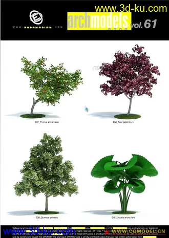 Evermotion Archmodels vol. 61树木模型下载种子的图片