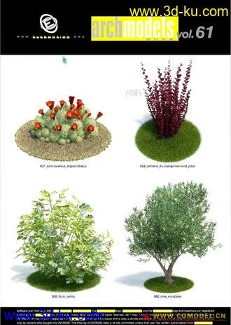 Evermotion Archmodels vol. 61树木模型下载种子的图片