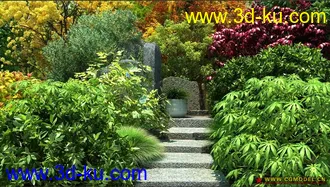 Evermotion Archmodels vol. 61树木模型下载种子的图片