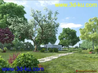 Evermotion Archmodels vol. 61树木模型下载种子的图片