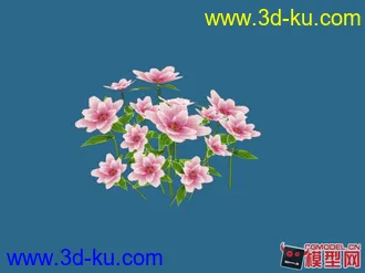 3D打印模型花花的图片