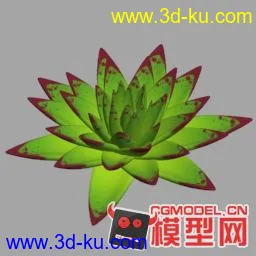 4种多肉植物模型【原创】的图片