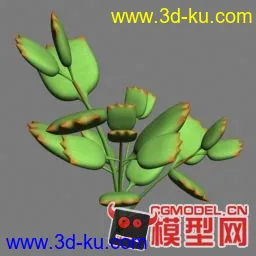 小型植物模型【原创】的图片