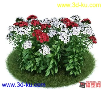 3D打印模型精品花朵 高模有材质2的图片