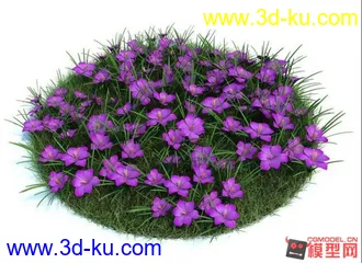 3D打印模型精品花朵 高模有材质2的图片