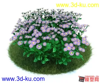 3D打印模型精品花朵 高模有材质2的图片