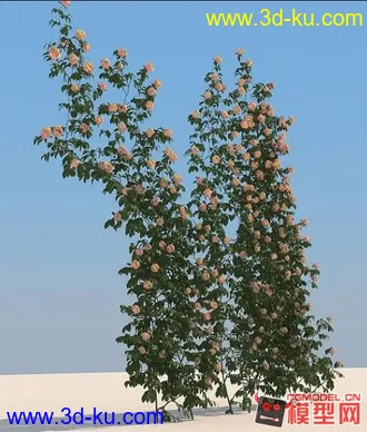 3D打印模型精品花朵 高模有材质2的图片