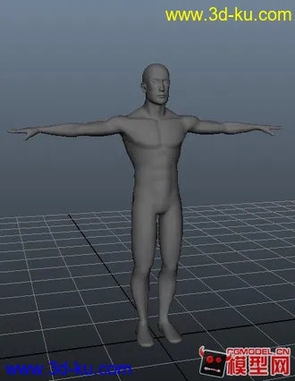 3D打印模型标准男人体的图片