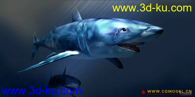 小C第七次发《电影级鲨鱼》模型的图片1