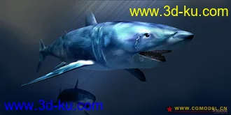 3D打印模型小C第七次发《电影级鲨鱼》的图片