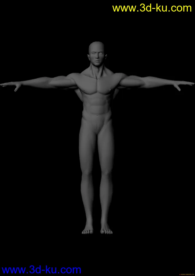 肌肉男（传）模型的图片2