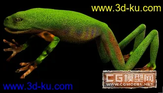 3D打印模型青蛙的图片