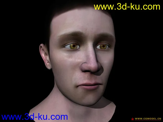 人头表情动画模型的图片1