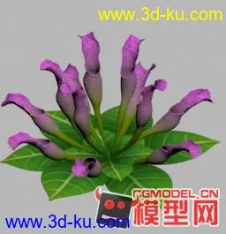 3D打印模型高模Q版小型植物，（原创）霸王花，刺棘草.风车花.瓶子草的图片