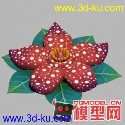 3D打印模型高模Q版小型植物，（原创）霸王花，刺棘草.风车花.瓶子草的图片