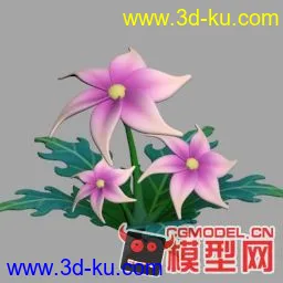 3D打印模型高模Q版小型植物，（原创）霸王花，刺棘草.风车花.瓶子草的图片