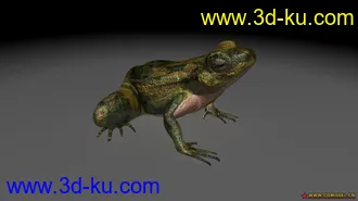 3D打印模型青蛙的图片
