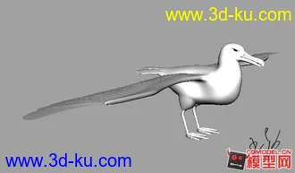 3D打印模型鱼鹰带绑定的。的图片