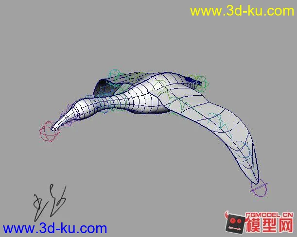 鱼鹰带绑定的。模型的图片7